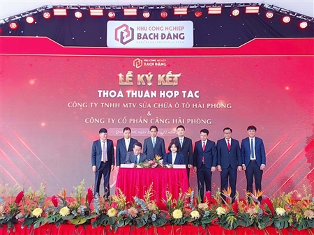 Port of Hai Phong studies investment cooperation in a seaport project at Bach Dang Industrial Park 