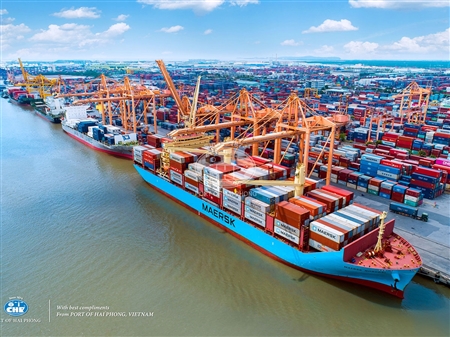 Tan Vu Terminal
