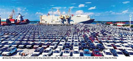 Cảng biển Hải Phòng bảo đảm dòng chảy hàng hóa thông suốt