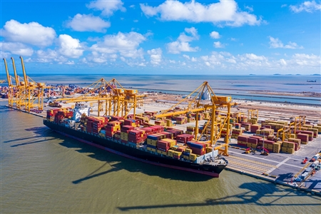 Phê duyệt chủ trương tiếp nhận tàu 165.000 DWT tại Bến số 3, 4 – khu vực cảng nước sâu Lạch Huyện