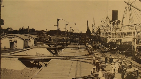 Documentary film Hai Phong Port heading to the big sea