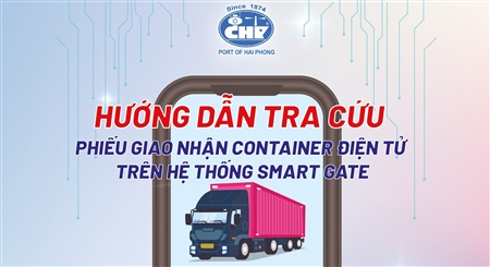 Smart gate: Hướng dẫn tra cứu eEIR